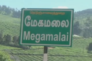 மேகமலையில் யானை தாக்கி இரண்டாவது உயிரிழப்பு