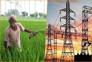 agricultural feeder in Rajasthan, electricity supply to farmers in Rajasthan