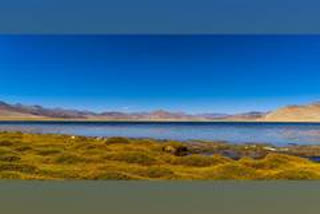 Ladakh's Tso Kar Wetland Complex added to list of Ramsar site