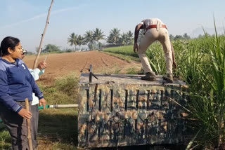 two-year-old calf trapped in forest cage has finally released in pune