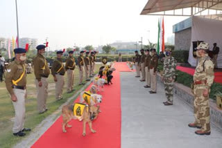 CISF canines who secured Delhi Metro retire with medals and cake