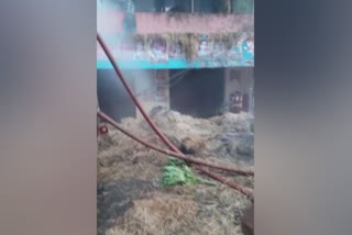 Straw godown catches fire in Thiruvananthapuram Loss of half a lakh rupees  Straw godown catches fire  Thiruvananthapuram  Loss of half a lakh rupees  തിരുവനന്തപുരത്ത് വൈക്കോല്‍ ഗോഡൗണിന് തീപിടിച്ചു; അര ലക്ഷം രൂപയുടെ നഷ്ടം  വൈക്കോല്‍ ഗോഡൗണിന് തീപിടിച്ചു  അര ലക്ഷം രൂപയുടെ നഷ്ടം