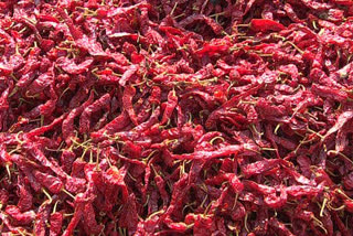 Haveri Chilli sales in market