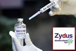 Zydus Cadila seeks Phase 3 clinical trials approval for its Covid-19 vaccine