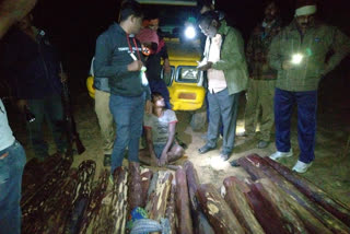 Task force officers seized 36 red sandalwood logs in Chittoor district