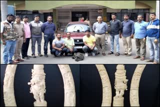 Three accused of trying to sell elephant ivory in Mysuru