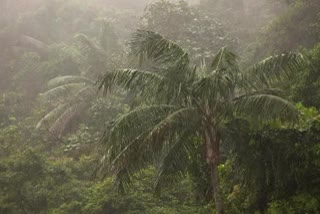 Chennai meteorological department announcement about southwest mansoon