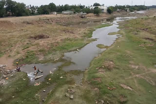 அமராவதி ஆற்று நீர் வரத்து குறைவு