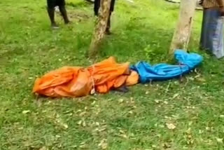 A Women Dead By Tiger Attacking In Masinagudi