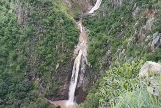 Falls in mudhumalai forest area