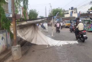 trees collapsed due to strong wind