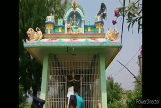 chori in gangamma temple