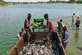 contractors monopoly fishermen lost in gadwal district