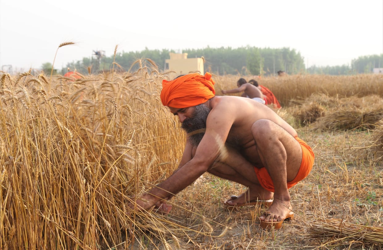 ramdev etv bharat