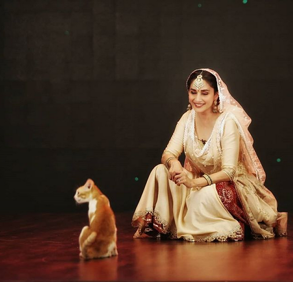 madhuri dixit