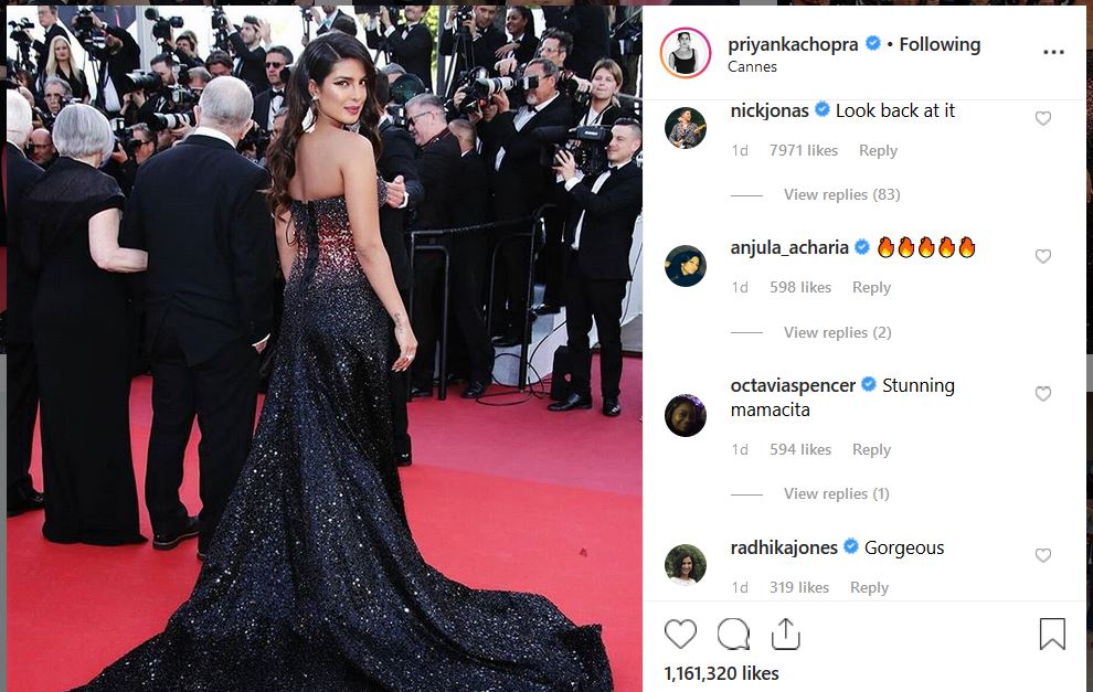 Priyanka Chopra, Priyanka Chopra pregnant