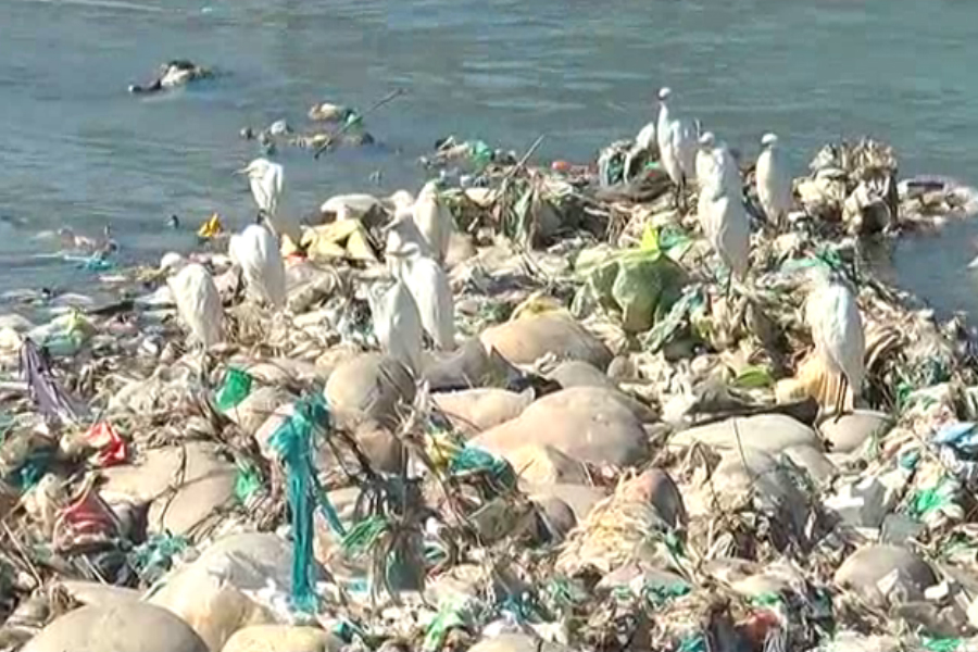 ganga river polluted
