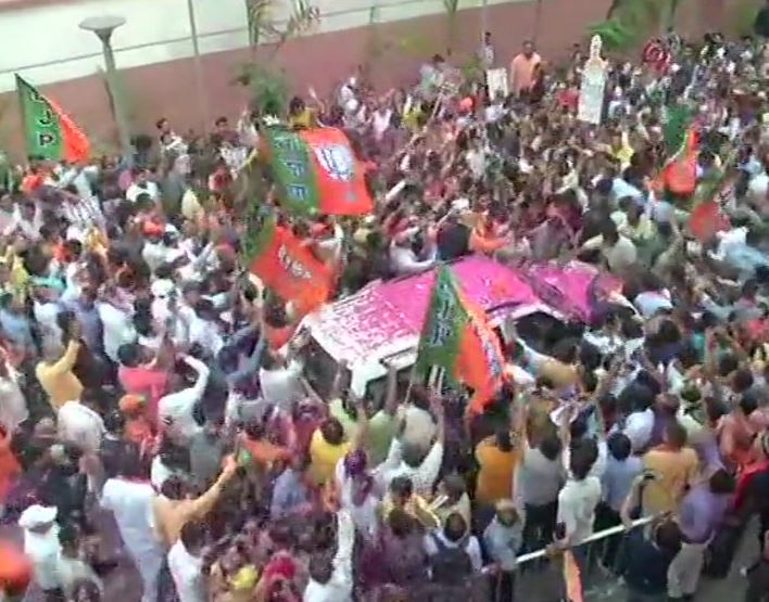 bjp celebrates victory