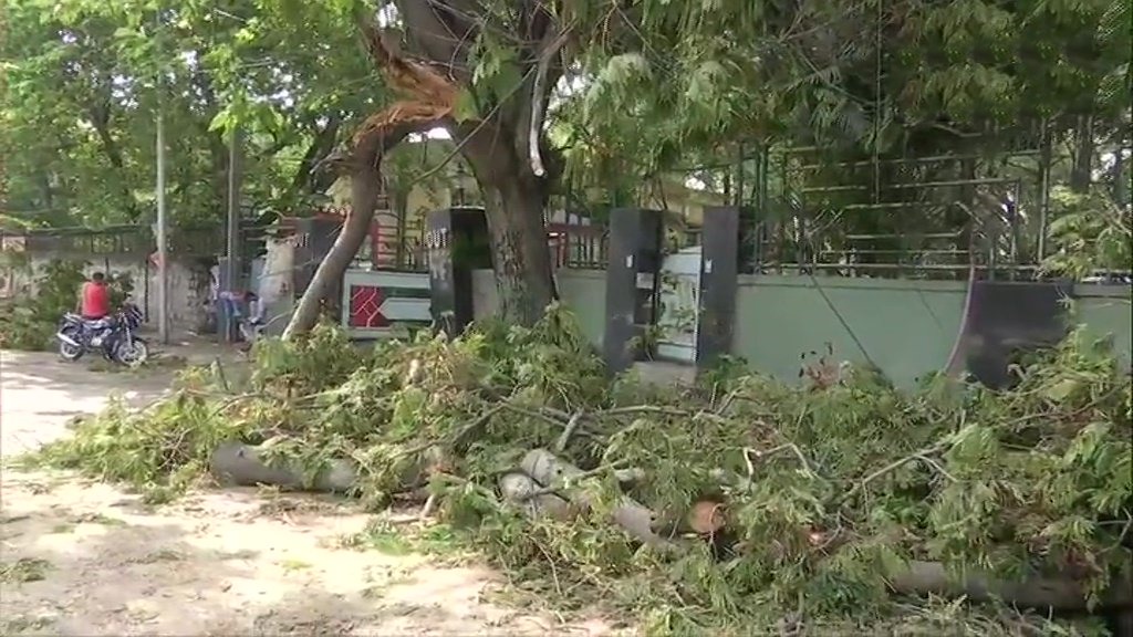 Trees uprooted in Bengaluru