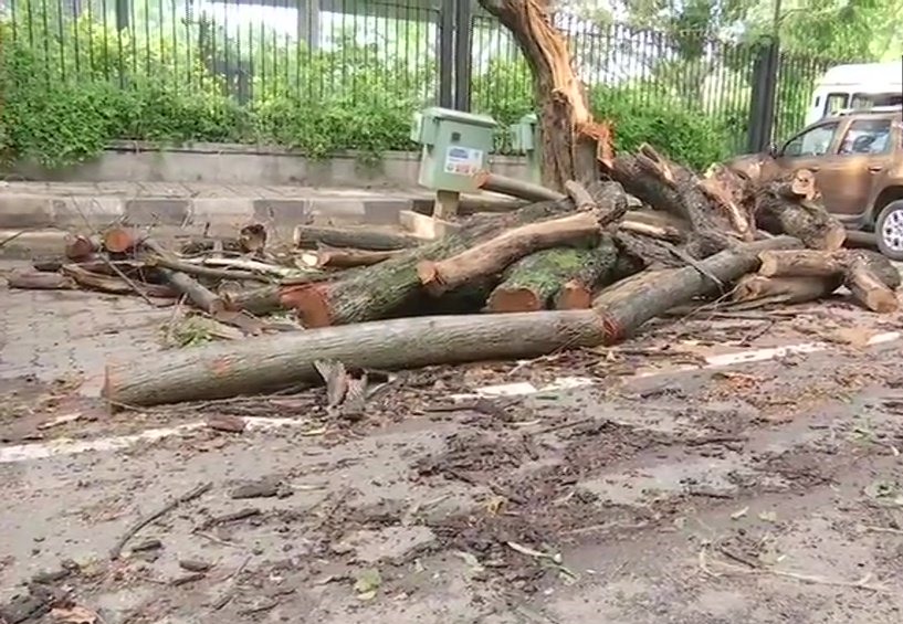 Trees uprooted in Bengaluru