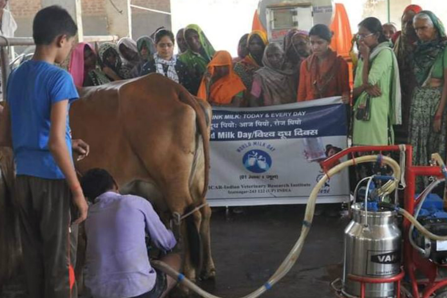 bihar-is-also-involv-in-world-milk-day-2019