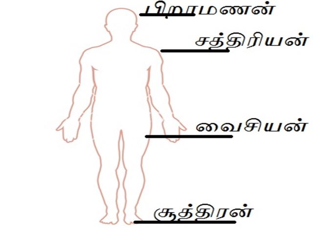 triple language formula