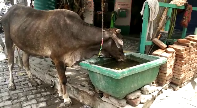 people troubled by heat