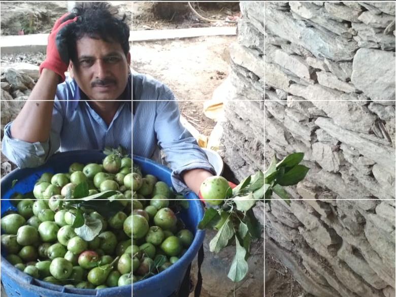 Heavy losses to Horticulturist due to storm