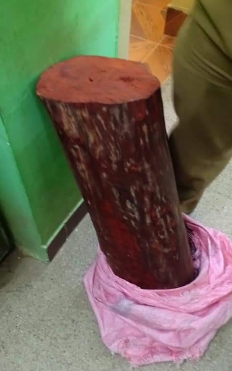 RED SANDAL WOOD SEIZED