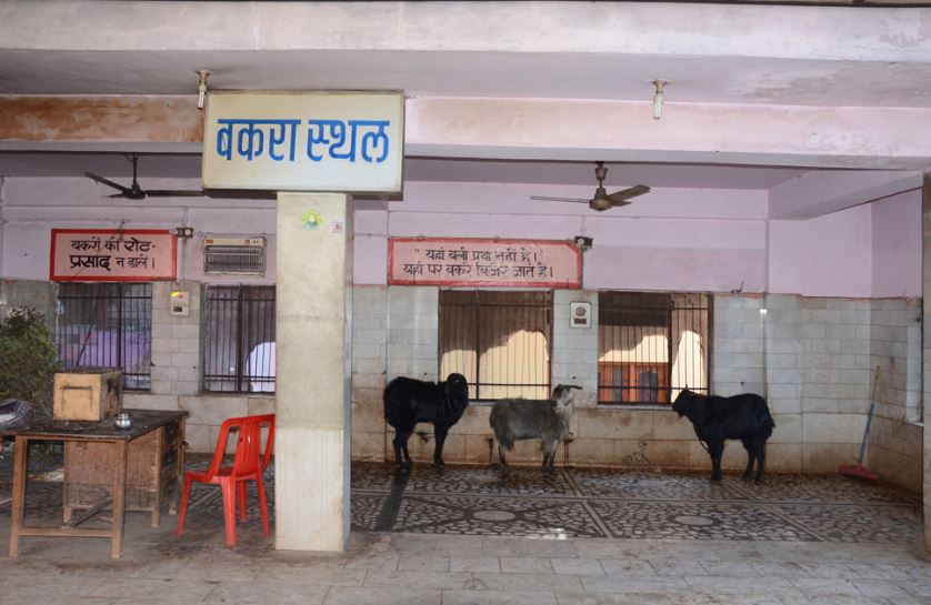 bilaspur, baba balak nath temple Deotsidh