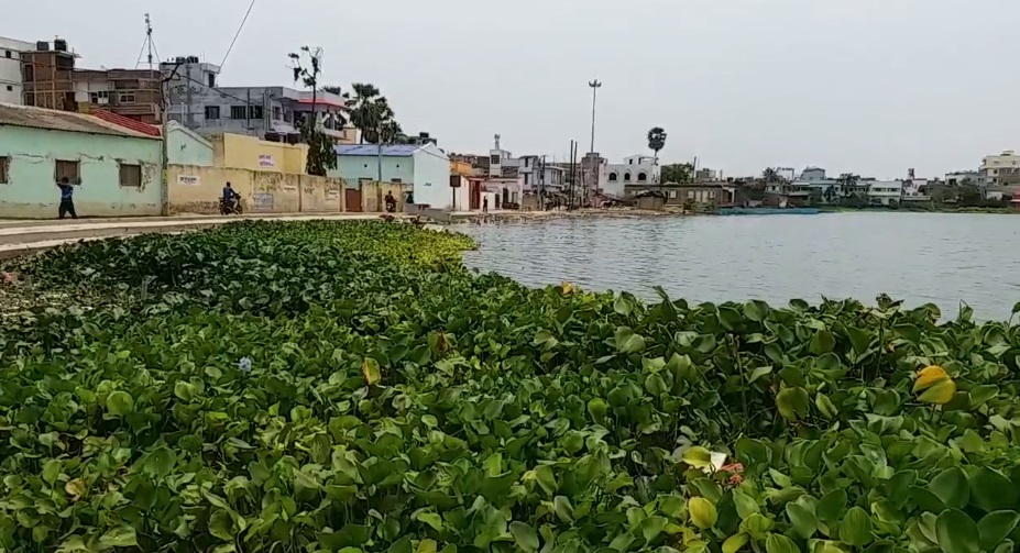 darbhanga