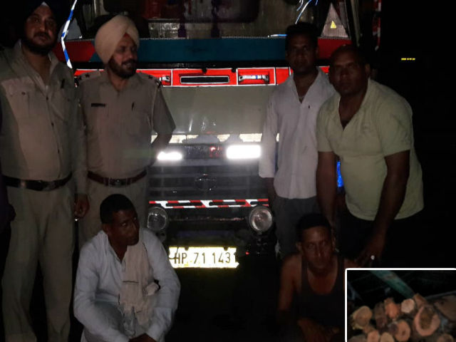 2 arrested with illegal wood in paonta sahib