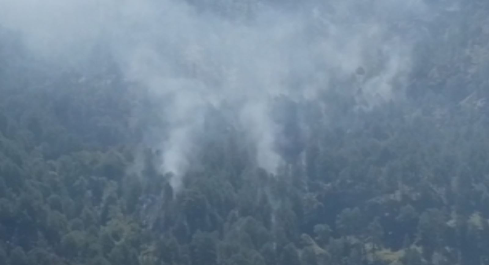 Chamba forests have a fire