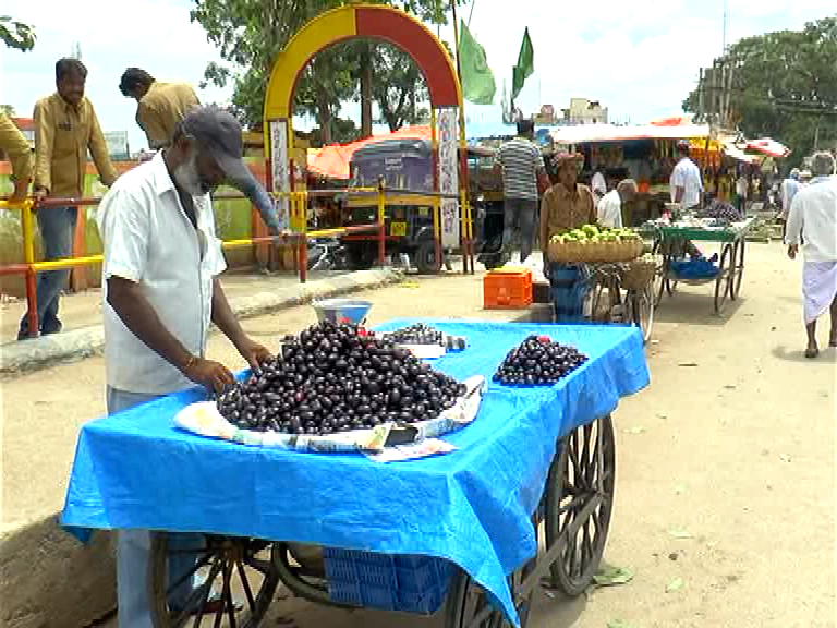 purple fruit