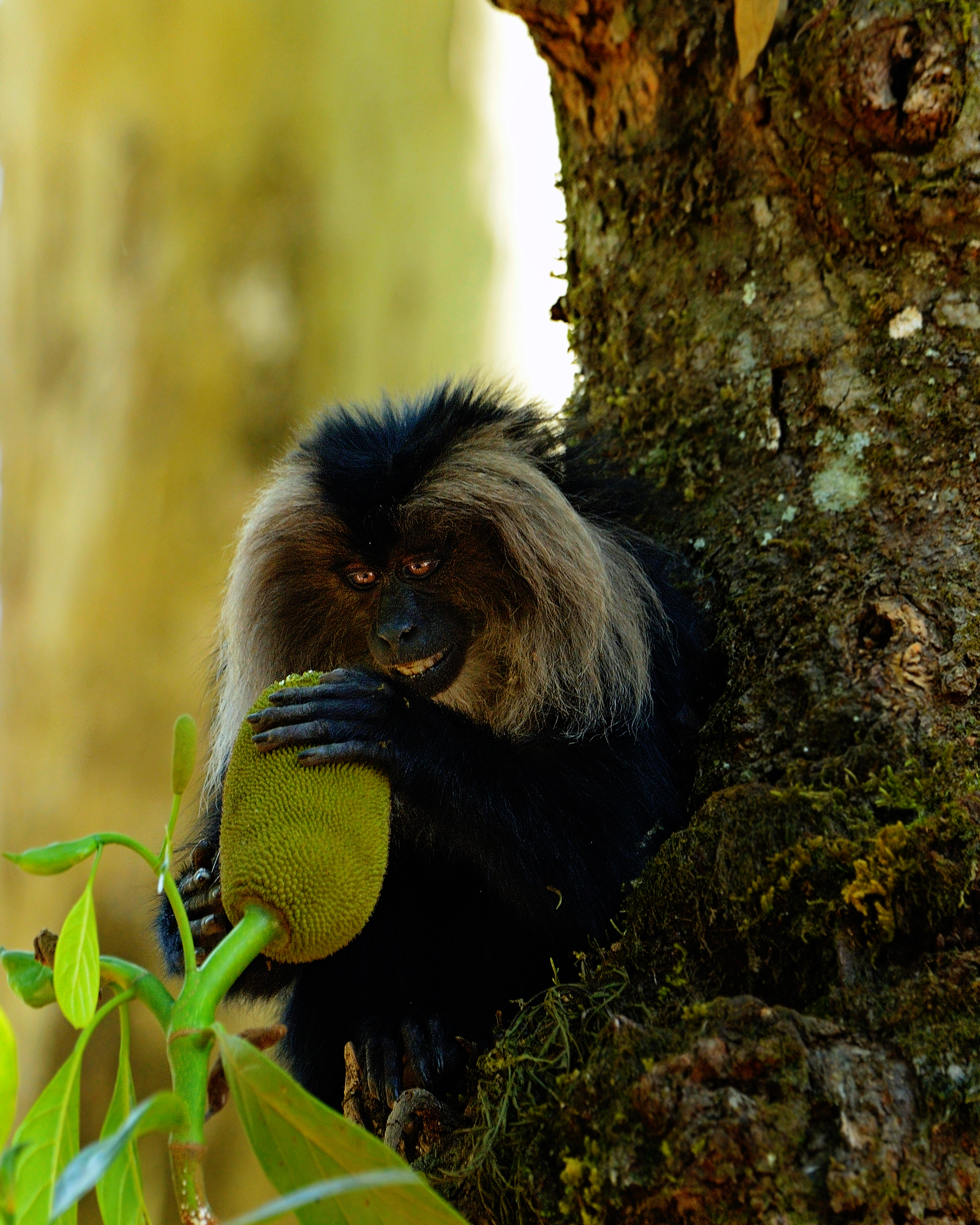 8. A picture clicked by Rathika Ramasamy