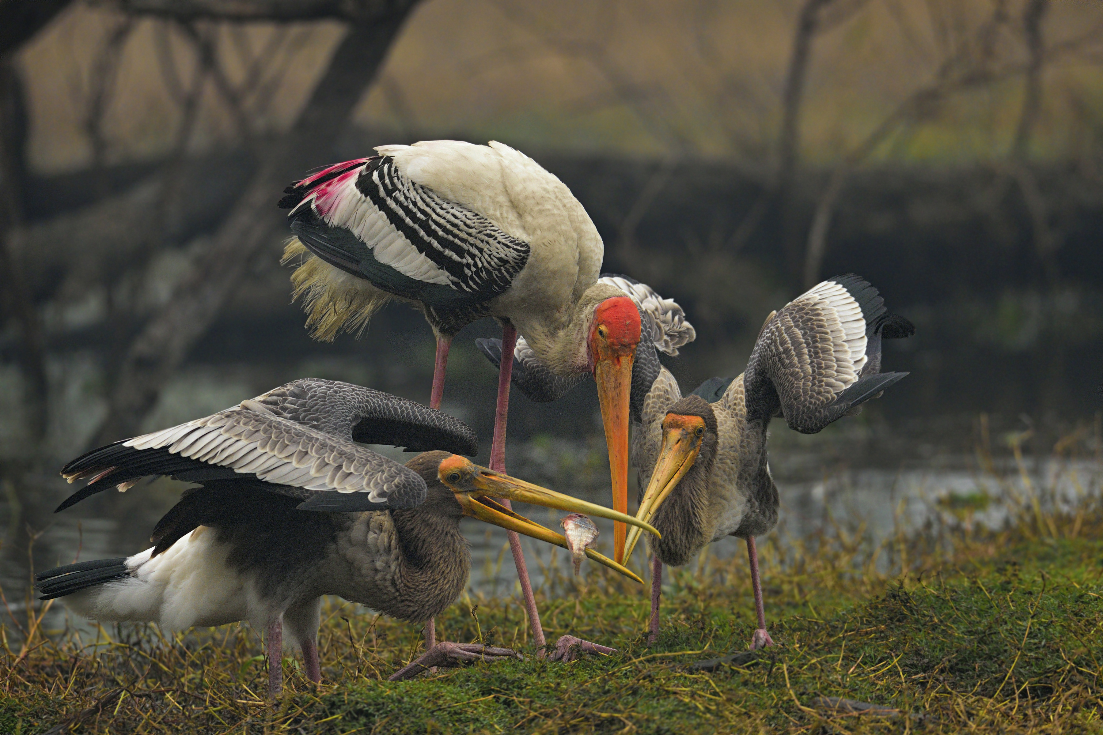 10. A picture clicked by Rathika Ramasamy