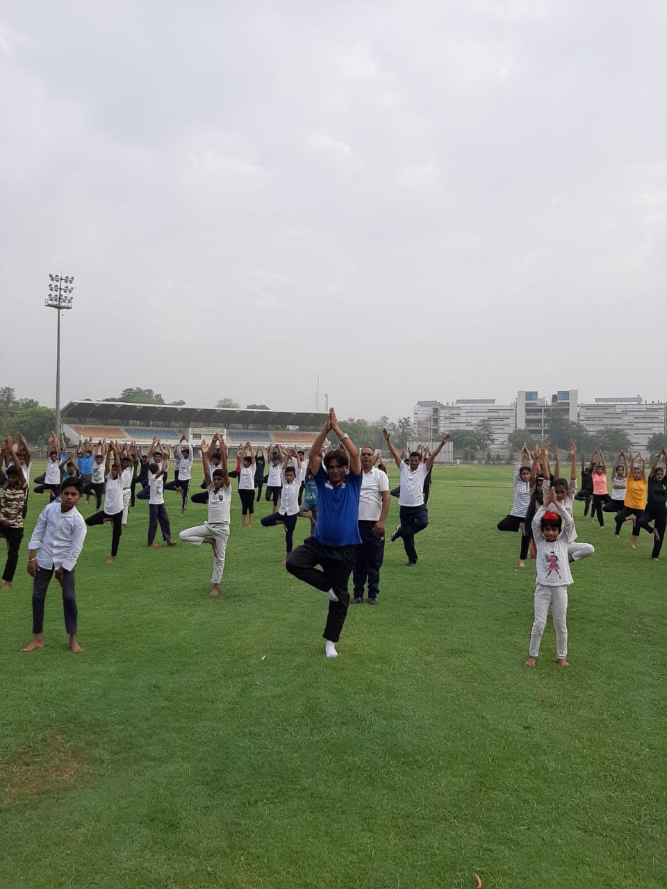 Fifth international yoga day