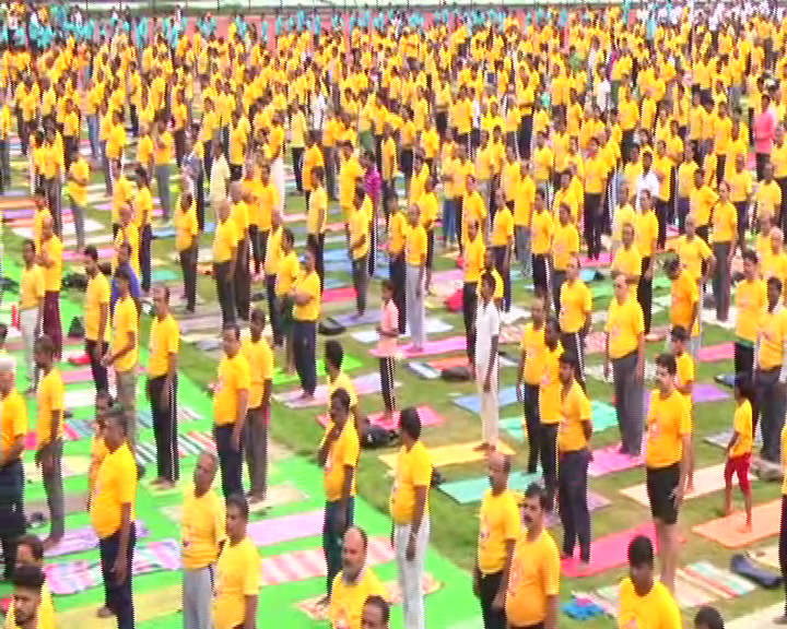 International Yoga Day Celebation in Bangalore