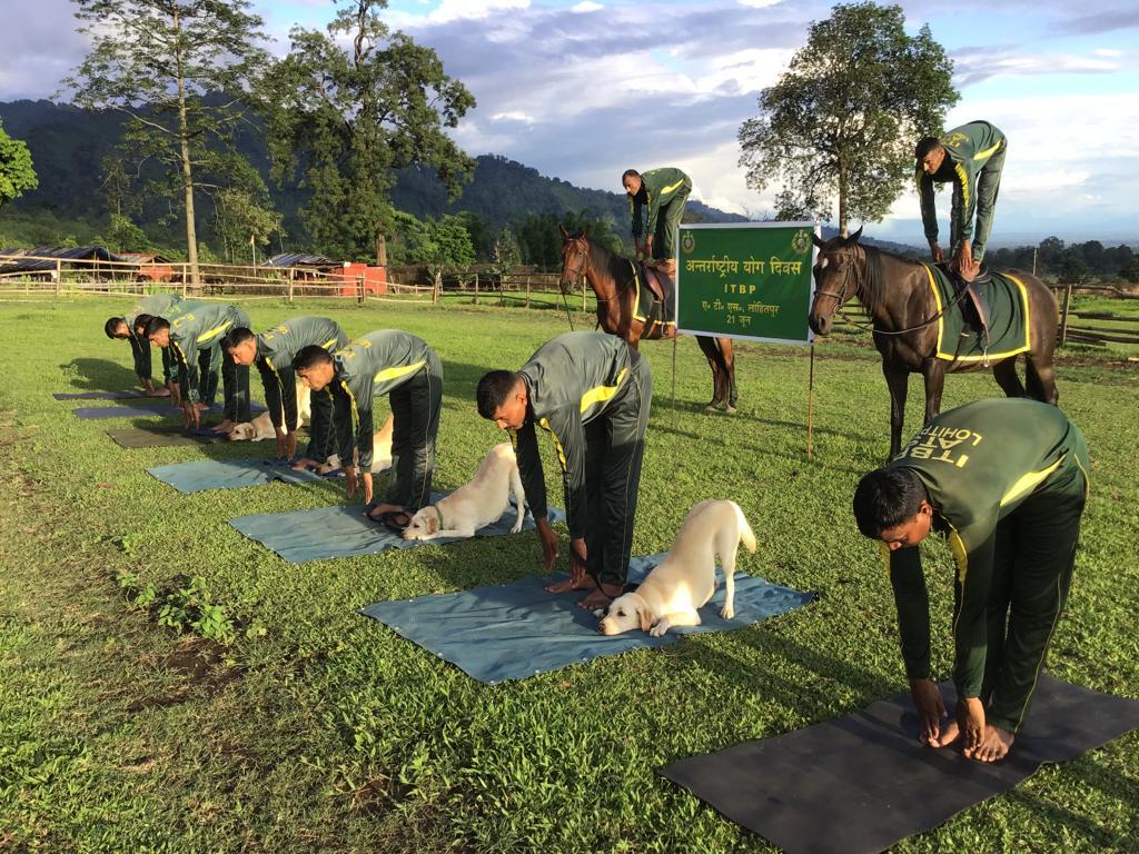 army doing yoga in various places of India