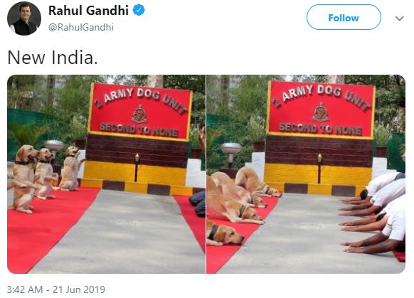 etvbharat rahul gandhi