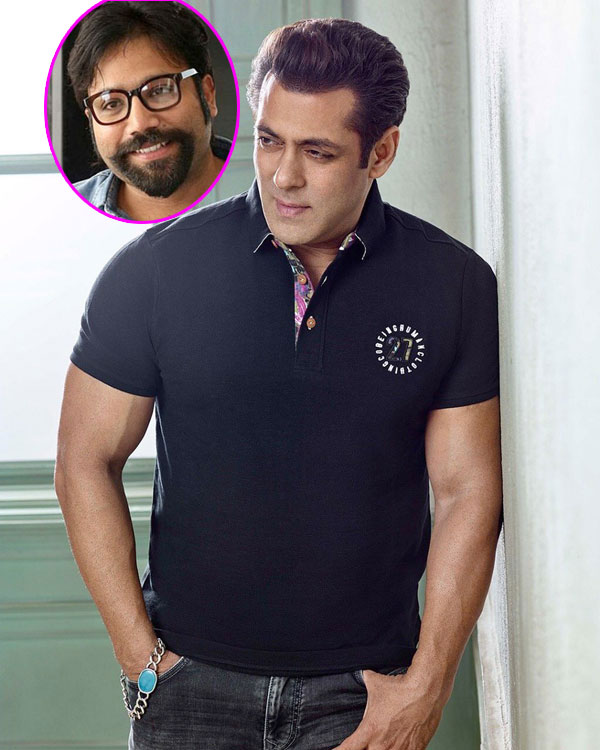 sandeep reddy vanga got a chance to direct salman khan soon