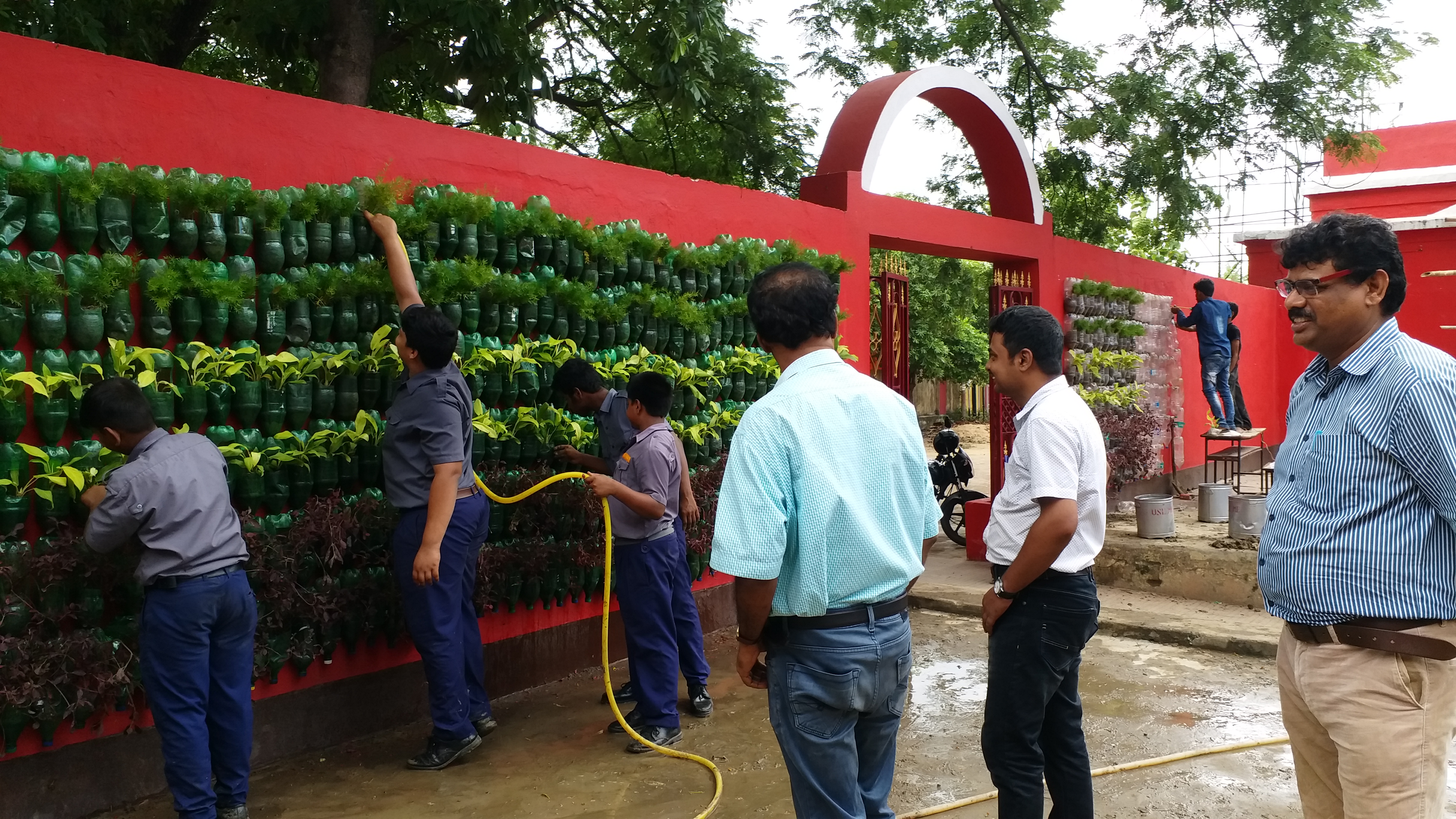 hanging garden