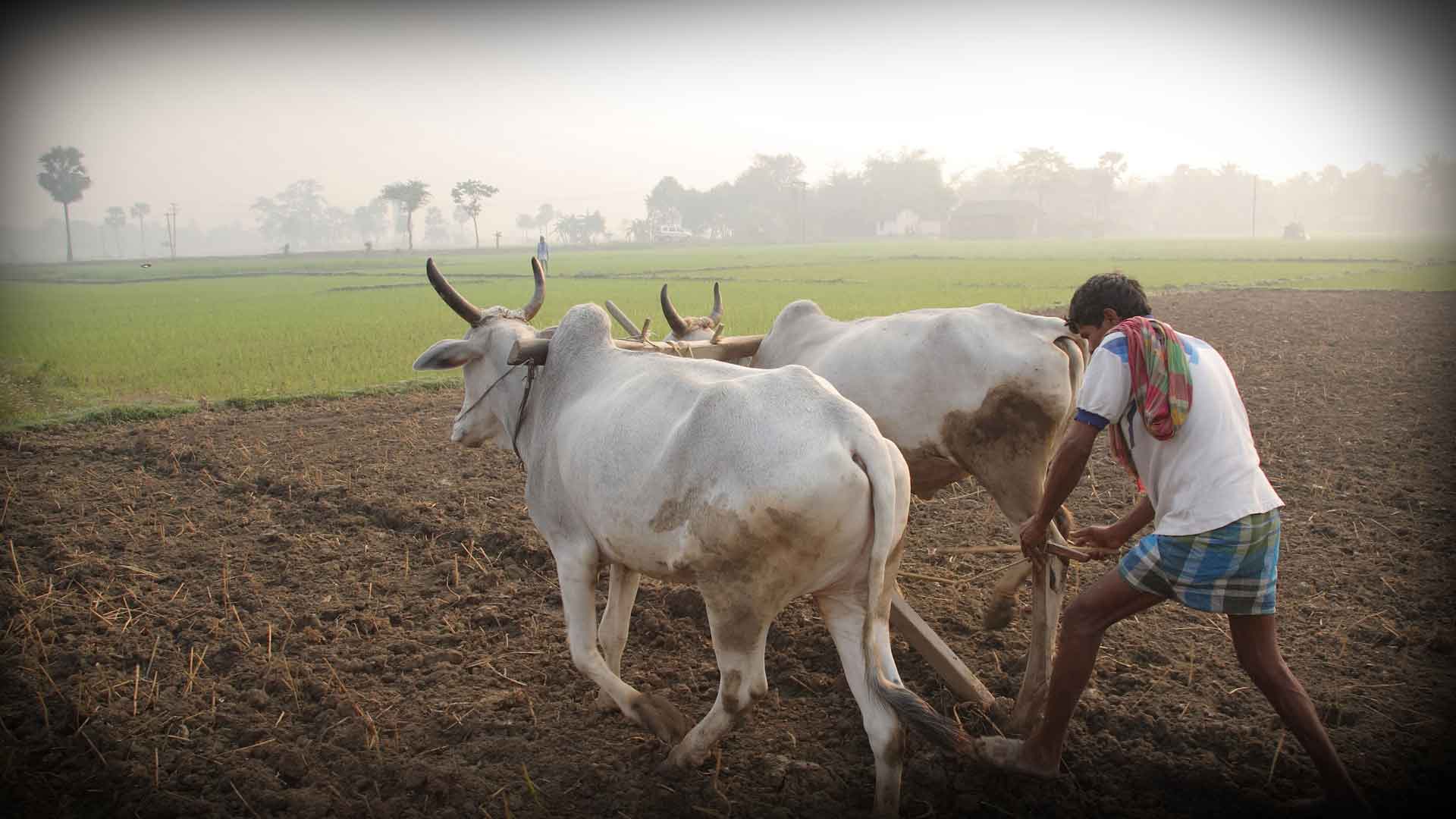 mumbai