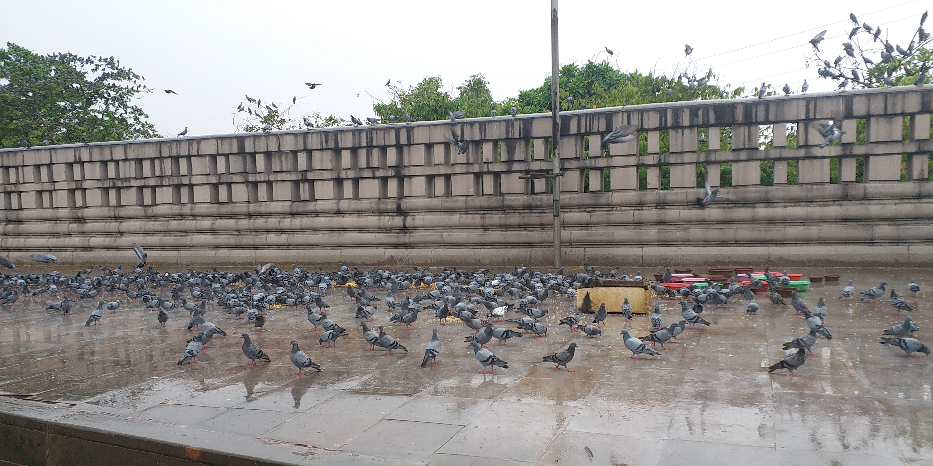 rain in noida temputure down