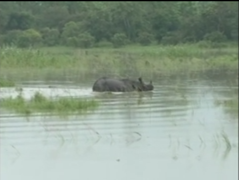 The flood situation in Assam turned serious ആസാമിലെ വെള്ളപ്പൊക്ക സാഹചര്യം രൂക്ഷമാകുന്നു