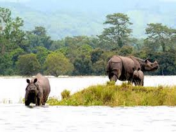 khaziranga national park