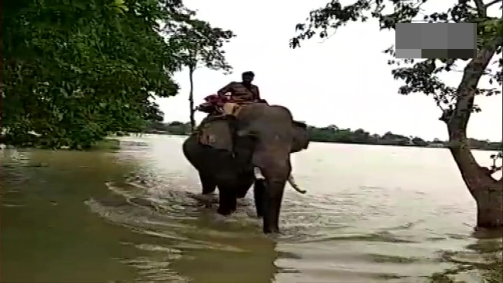 Assam flood worsens, death toll rises to 11