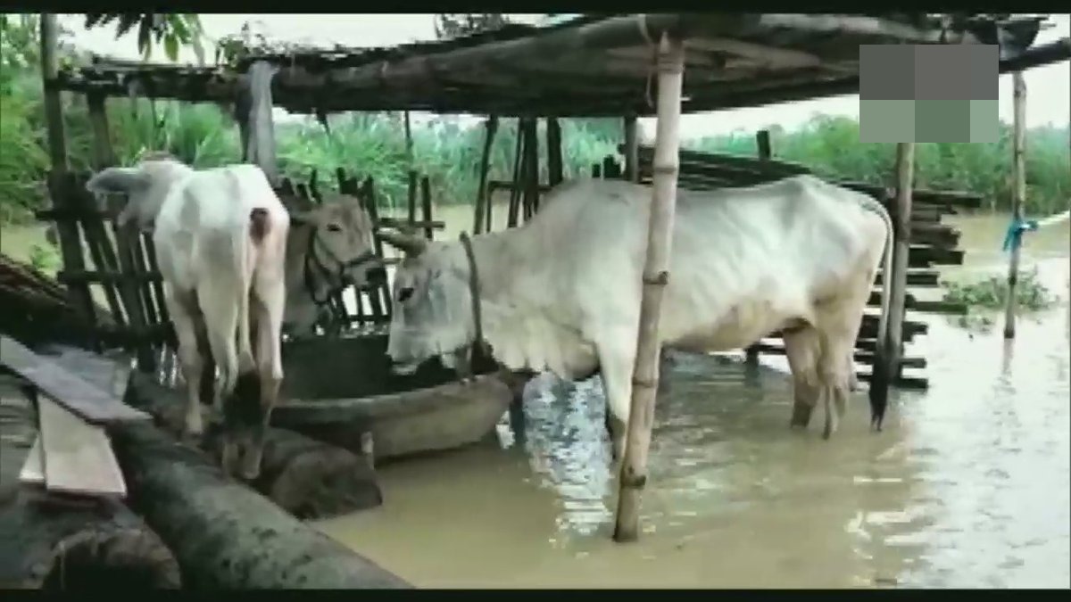 Bihar flood turns grim: 4 dead, 18 lakh hit; CM conducts aerial survey