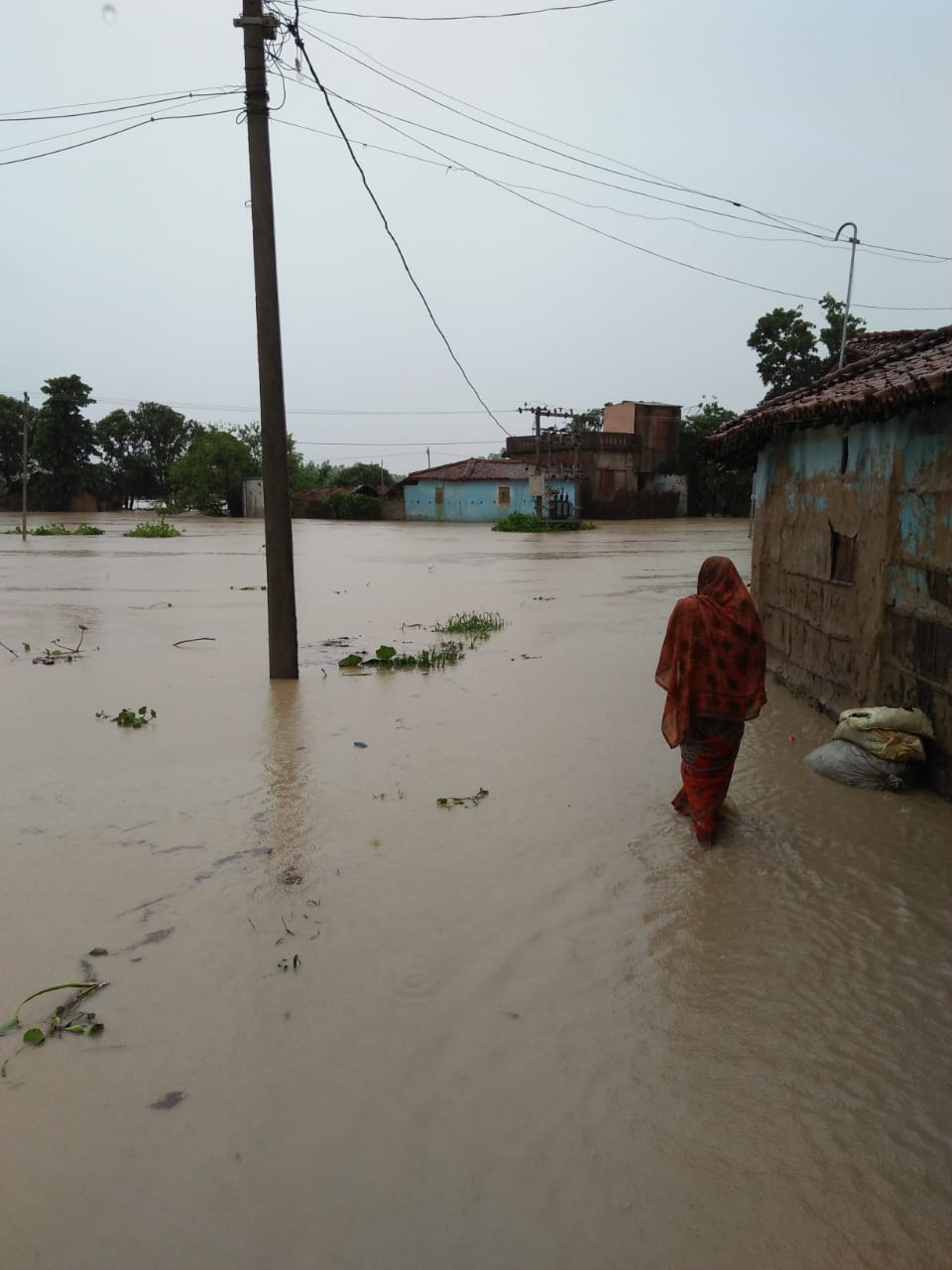 BIHAR FLOOD