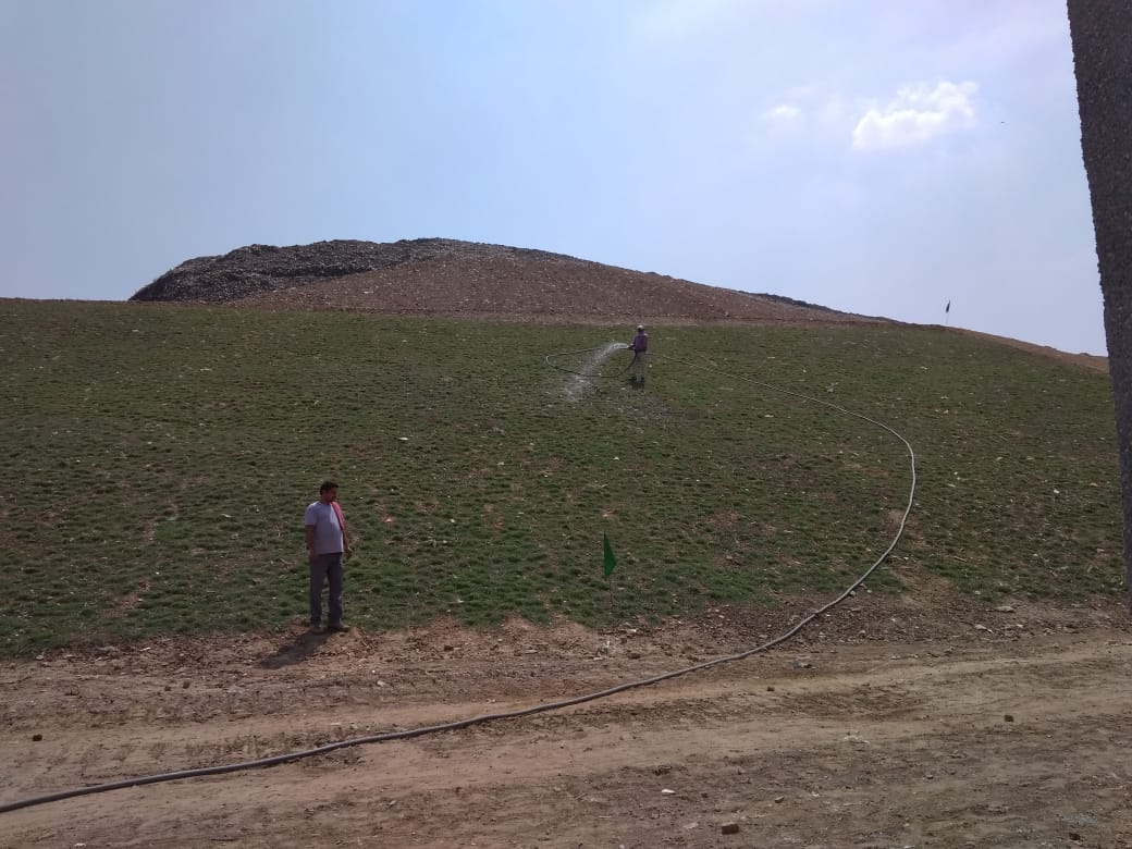 greenery on okhla landfill site in delhi